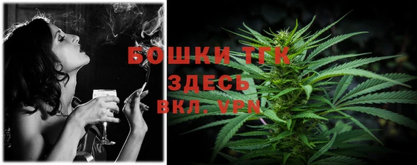 молекула духа Вязники