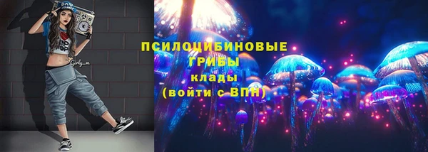 молекула духа Вязники