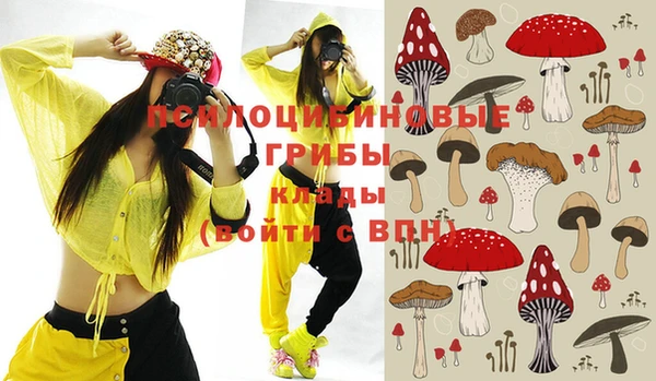 молекула духа Вязники